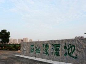 重游湿地公园