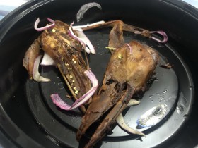 Yo哥确实和鸭头有仇,干它,不要停。哈哈!